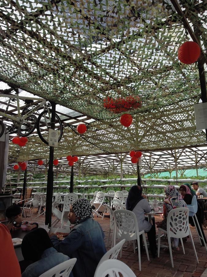 Azizi&Yati Muslim Homestay Cameron Highlands Buitenkant foto