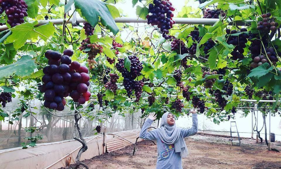 Azizi&Yati Muslim Homestay Cameron Highlands Buitenkant foto